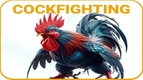 melbet sabong homepage icon